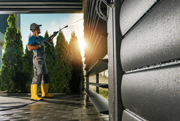Best Solar Panel Cleaning  in Wedgefield, FL