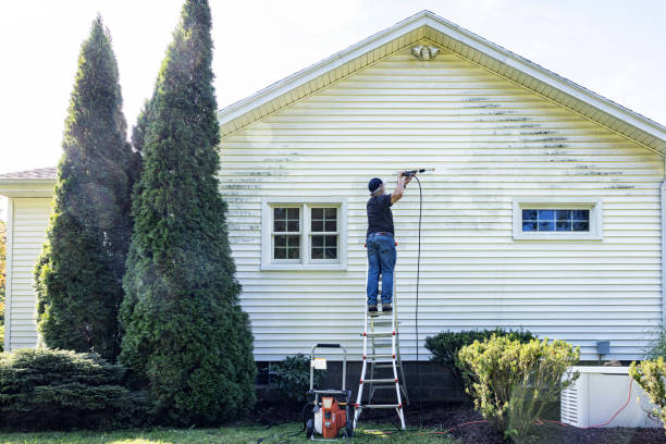 Best Animal Enclosure Cleaning  in Wedgefield, FL